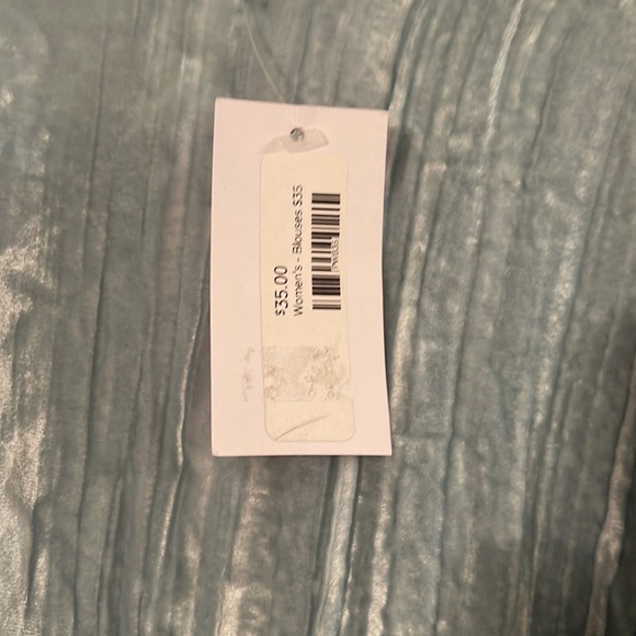 Rare and stunning Baby Blue Velvet Second Sight Blouse - Picture 2 of 4